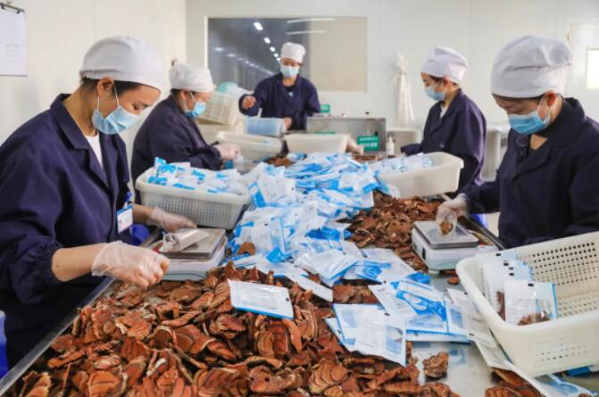 1712134176818801.jpg 2.jpg