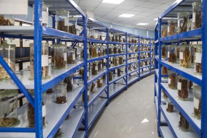 1712134277197504.jpg 6.jpg