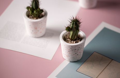 1763359350901192.png 31.png