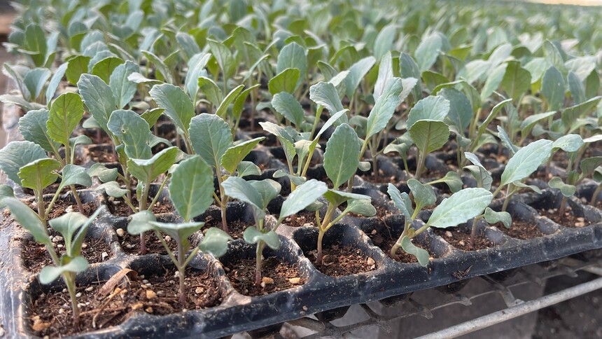 1733886394401191.jpg 图片 (85).jpg