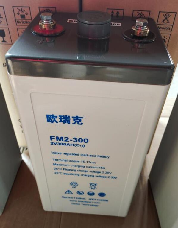 FM2-300.jpg