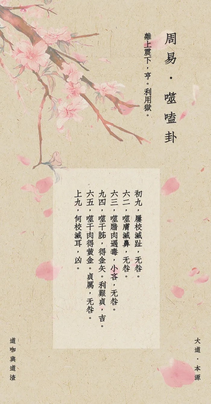 1741152916431.jpg