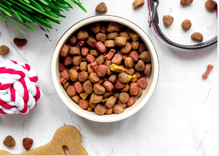 PET FOOD.png