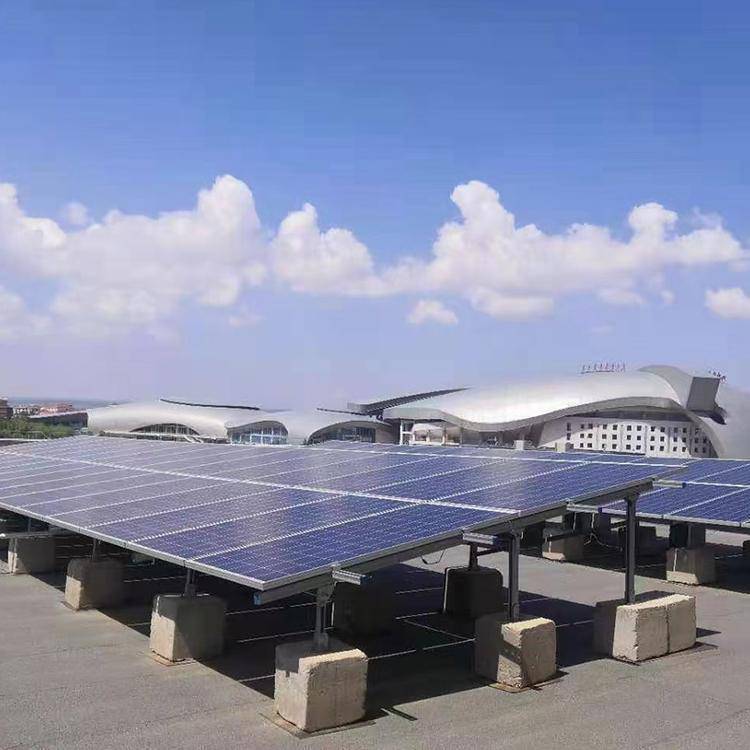 1768897042481613.jpeg a7716c748ea9857df1a7679e59dd0cea.jpeg