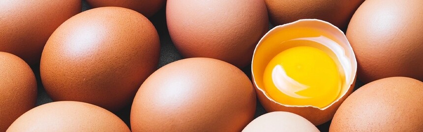 Improved-Egg-Yolk-Color-and-Quality.webp.jpg