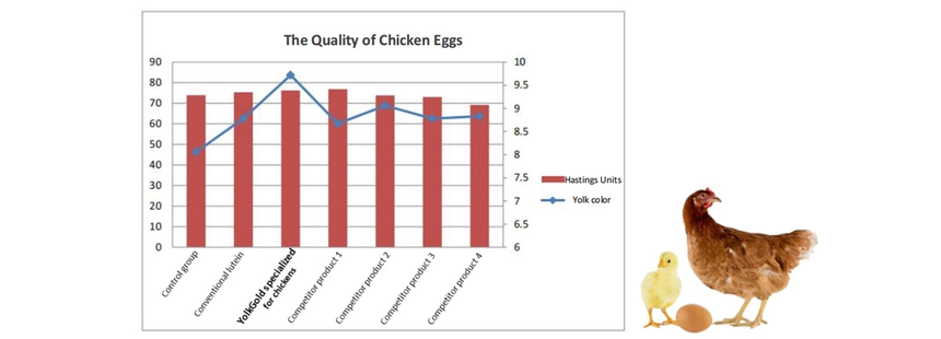 Compare-with-products-from-the-same-industry.webp.png
