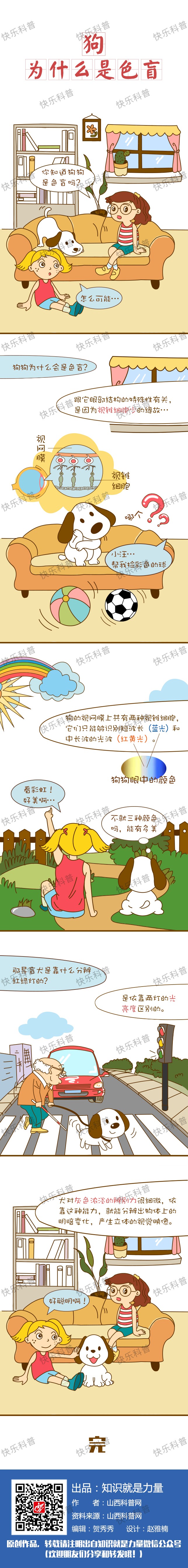 Ϊʲôǡɫä.jpg