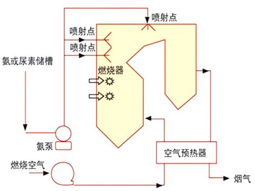 01SNCR.jpg