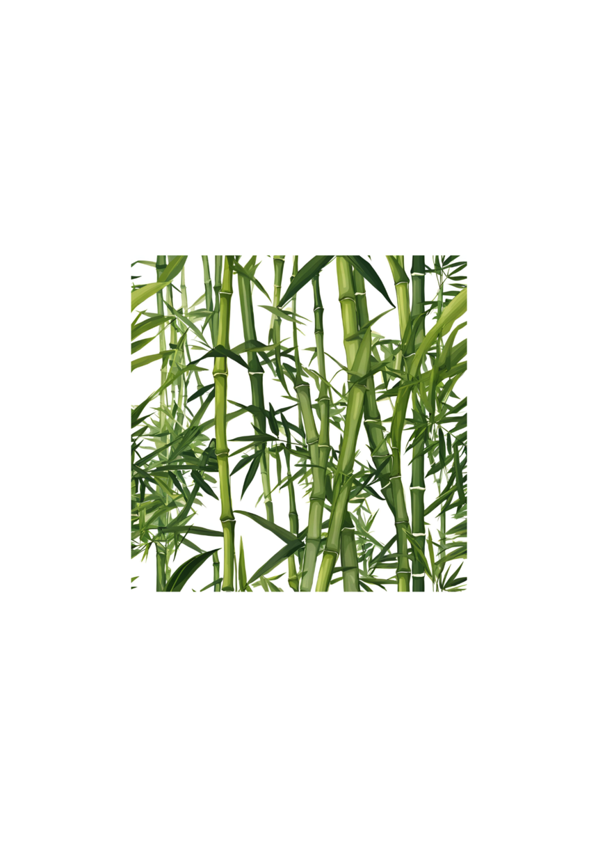 ս(9).png