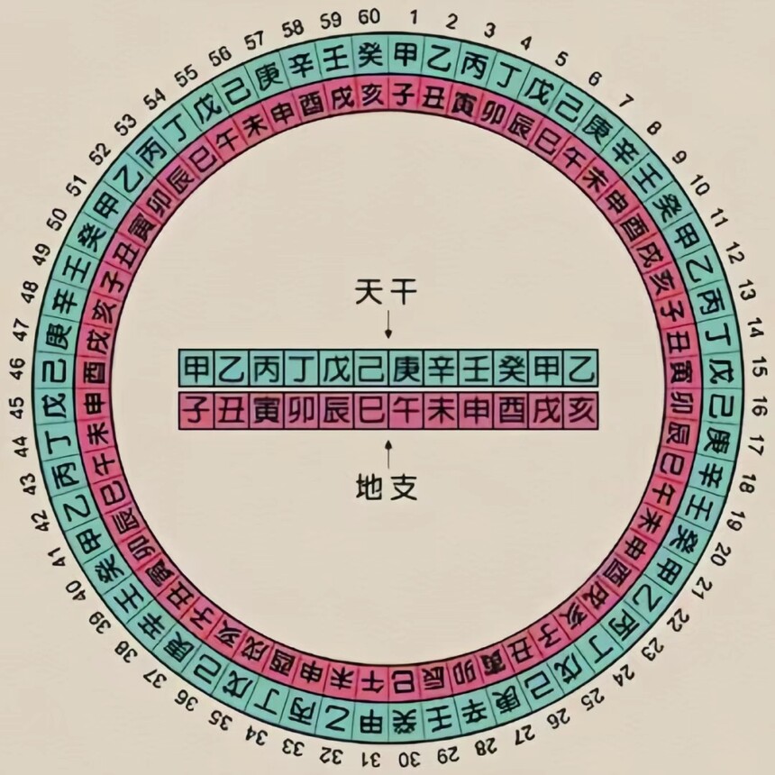 1751385337576.jpg