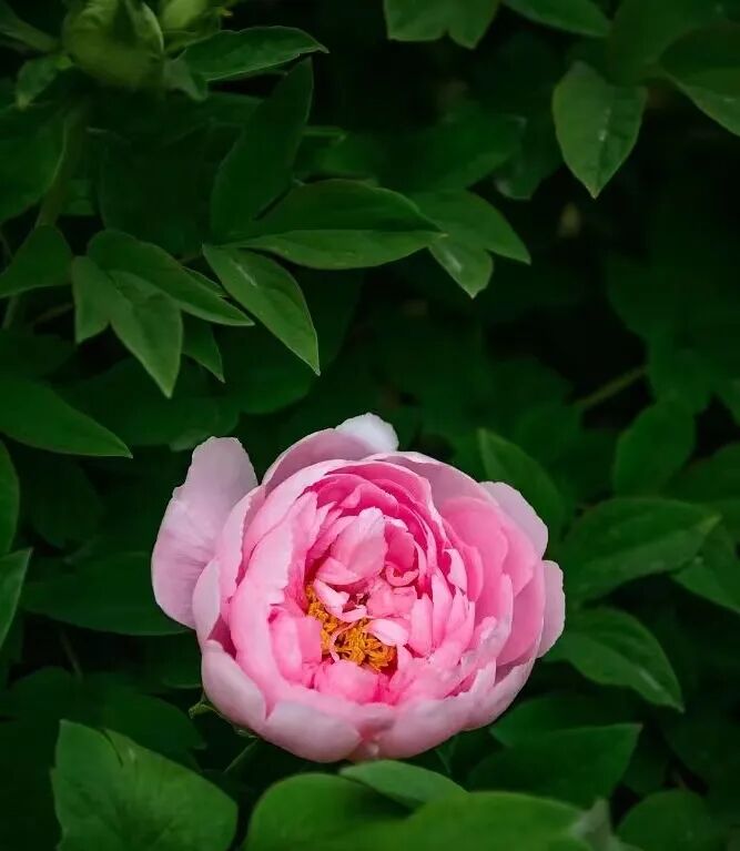 1764058446179359.jpg 微信图片_2025-11-25_161341_170.jpg