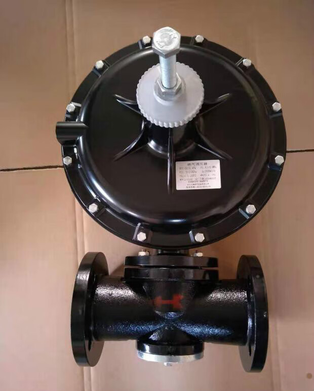Biogas valves