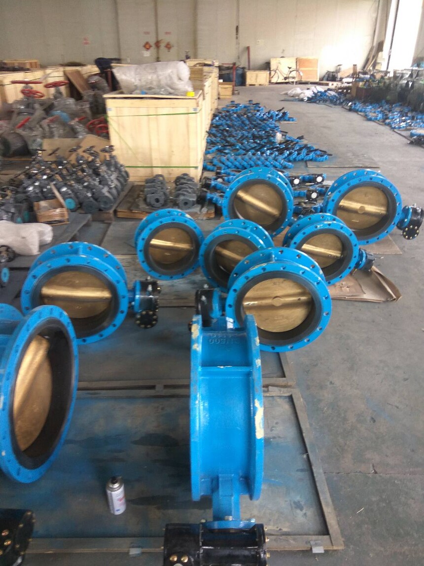 Marine valves