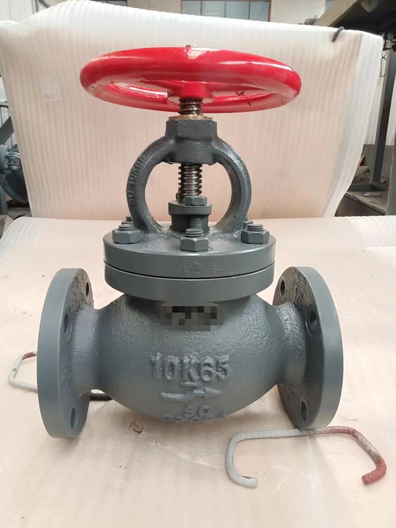 Marine valves