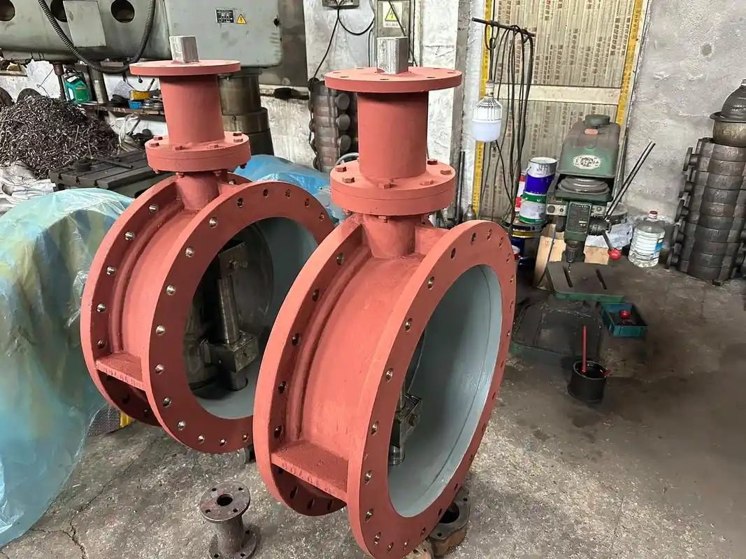 Marine valves