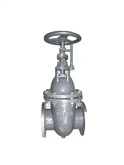 Marine valves