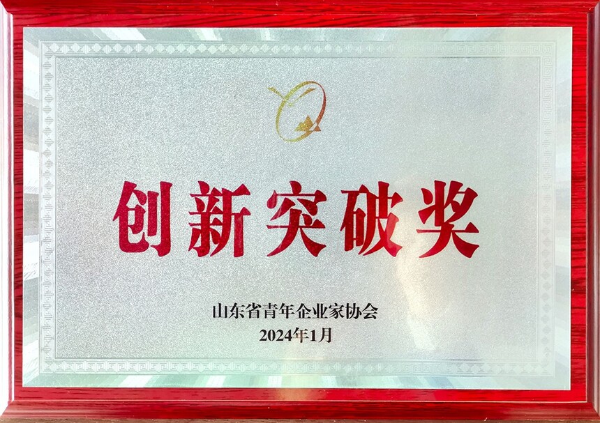 创新突破奖11.jpg