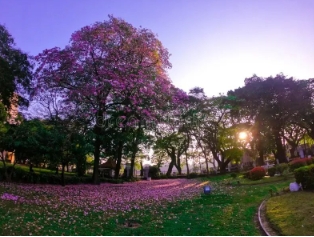 1729046336213683.png 微信截图_20241016103827.png