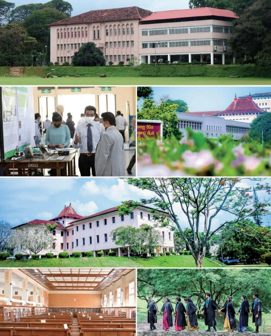 1729063359581933.png 微信截图_20241016152206.png