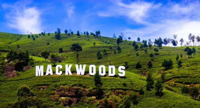 1730342881930887.jpg 3659aec0e824911b3a60ce043f48968e.jpg