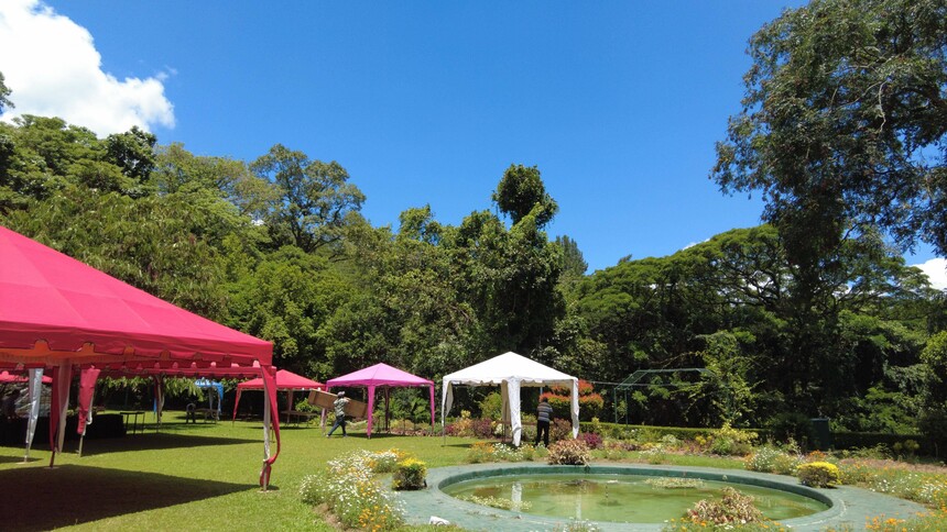 1730343114634182.jpeg 7dac02d540ac5f140317df48385406aa.jpeg