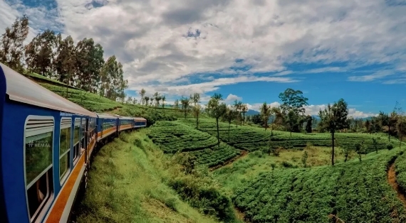 1741744431300158.png 微信截图_20250312094337.png