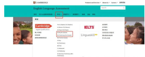 ��Ļ��ͼ 2025-10-12 142251.png