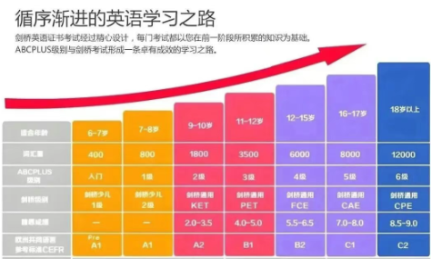 1764677481255217.png image.png