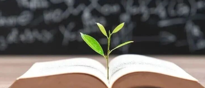 1765272498828926.png image.png