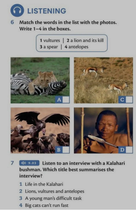 1772536446697126.png image.png