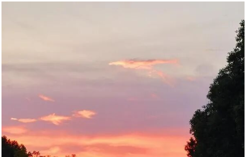 1773143158746586.png image.png