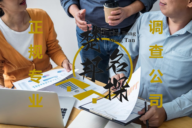 武汉调查公司