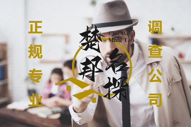 武汉私家调查