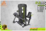 Leg Extension E4002A