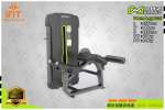 Prone Leg Curl E4001A