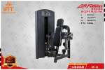Biceps Machine XF11