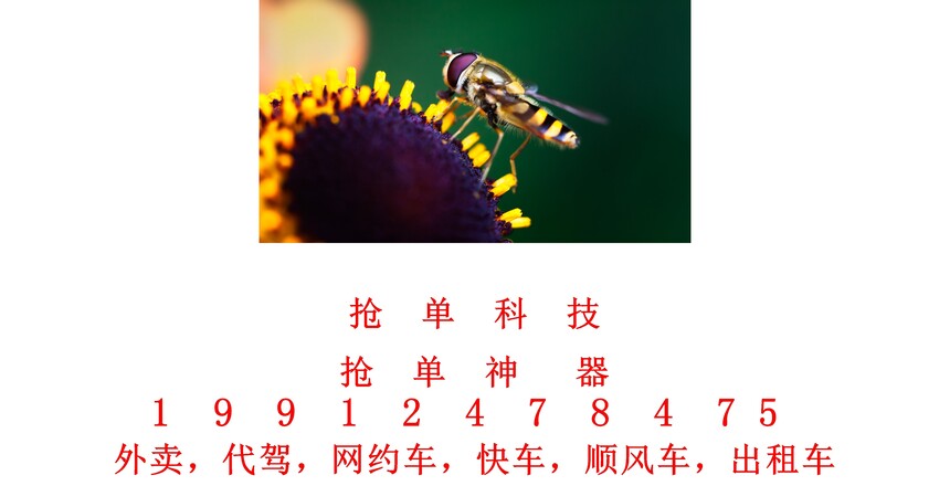 1727165062403449.jpg