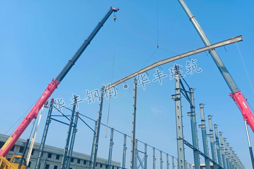 06.jpg