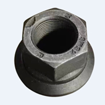 nut  ��̥��˿.jpg