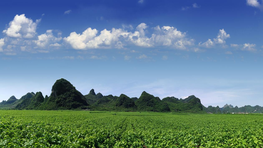 1751420652821489.png 图片1.png