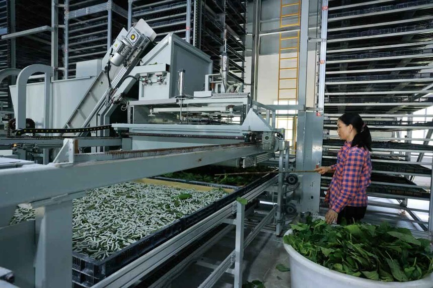 1751420784786172.jpg 图片2.jpg