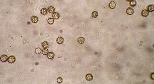 1751448293593307.png 1.png