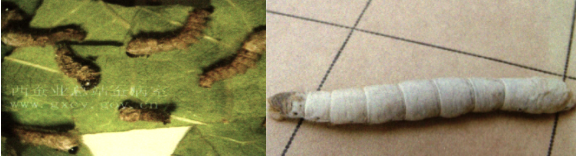 1751448388446758.png 2.png