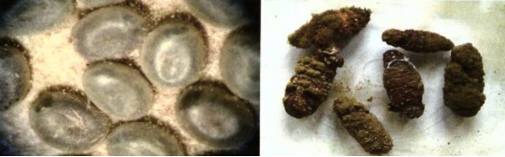 1751448421229377.png 3.png