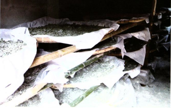 1751448515681563.png 4.png