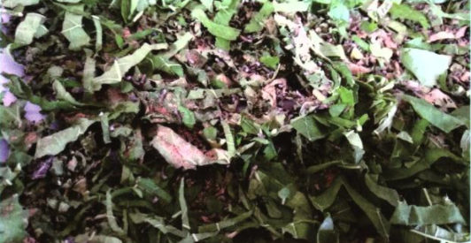 1751448577359706.png 5.png