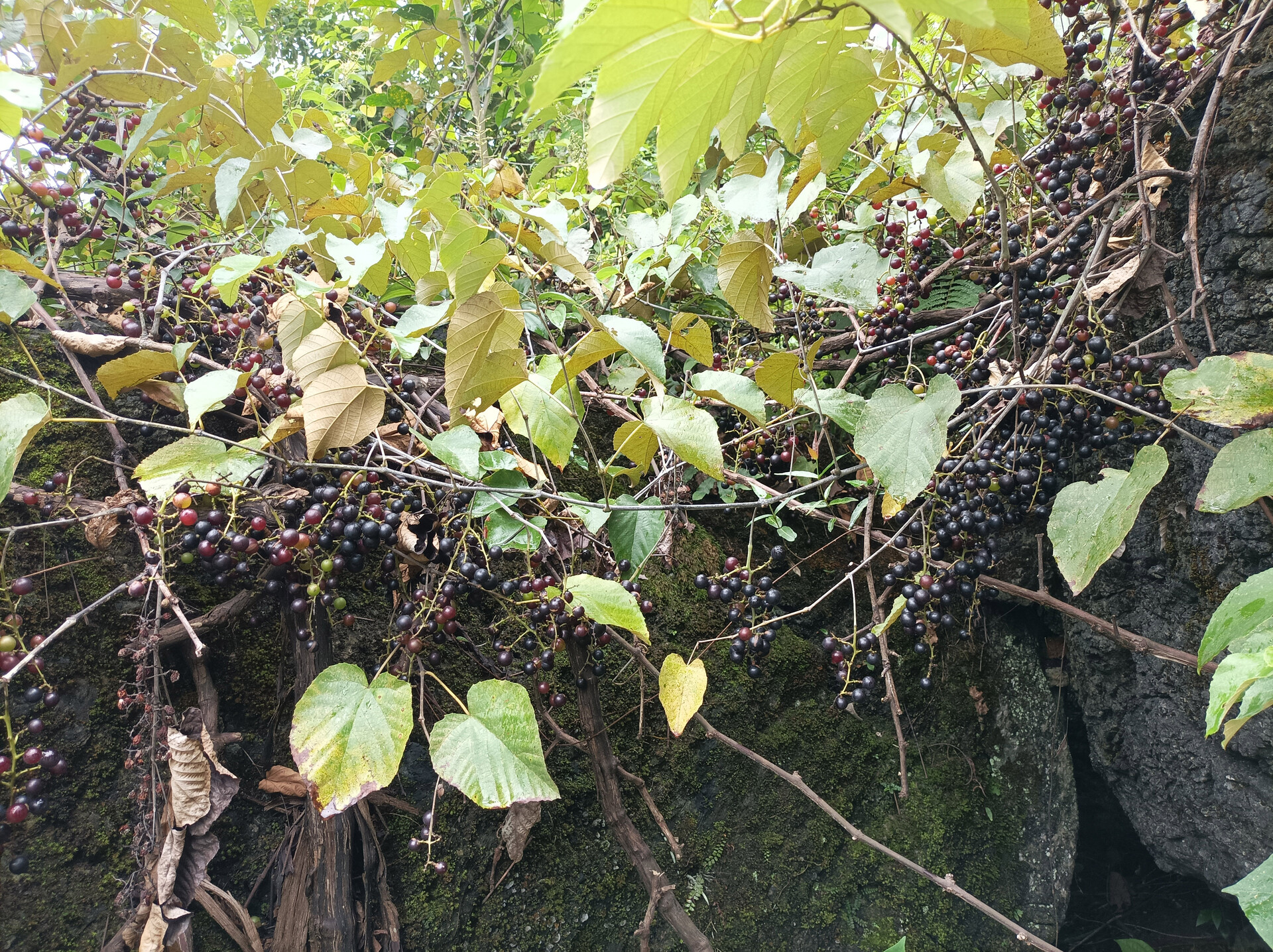 1757986817211332.jpg 微信图片_20250916090941_229_4.jpg