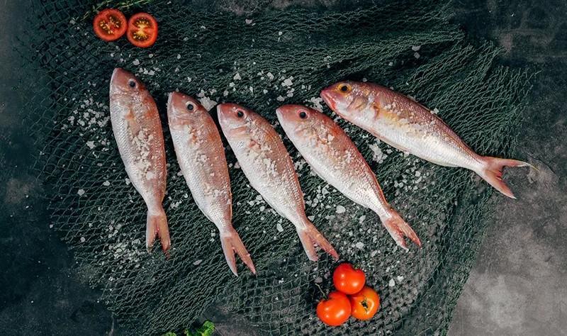 Key-Ingredients-to-Improve-2Fish-Quality.jpg