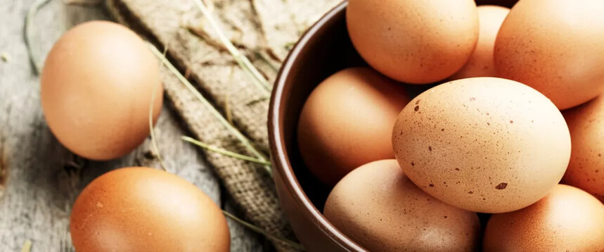 Key-Factors-in-Reducing-Dirty-Eggs.jpg