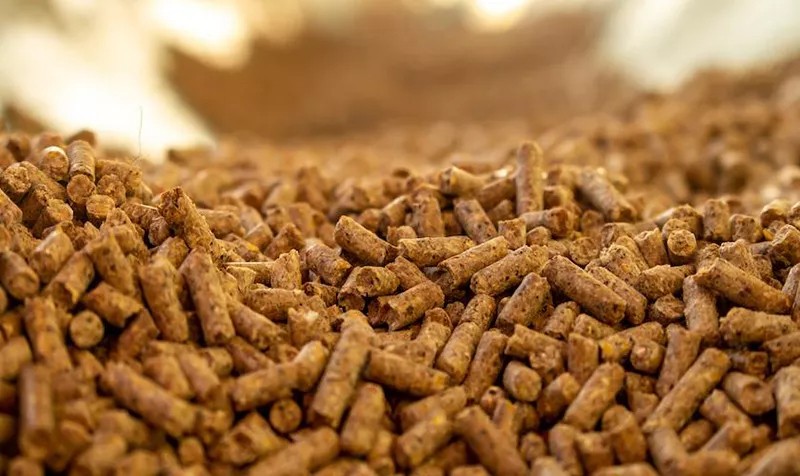 Unveiling-the-Role-of-Pellet-Binders-in-Feed-Production.jpg
